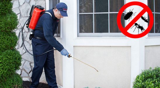 Tepebaşı Haşere İlaçlama böcek ilaçlama ve haşere kontrolü — ilaclama-tr.com